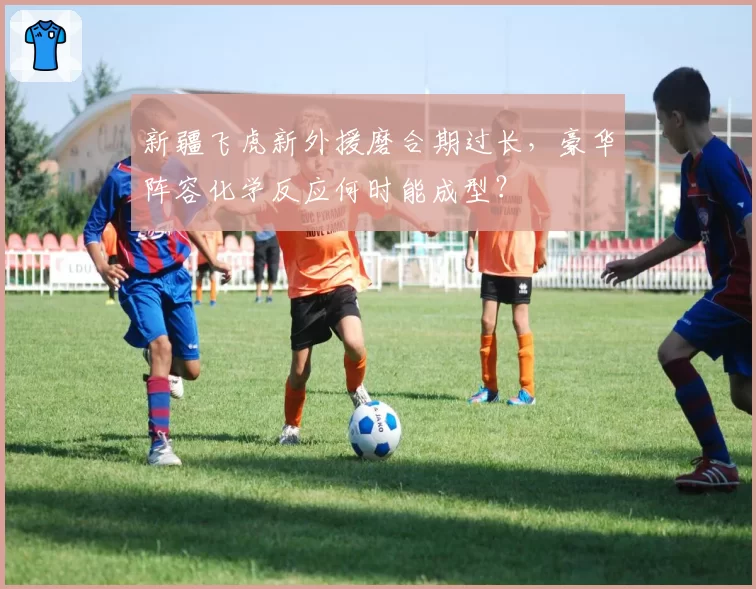 新疆飞虎新外援磨合期过长，豪华阵容化学反应何时能成型？