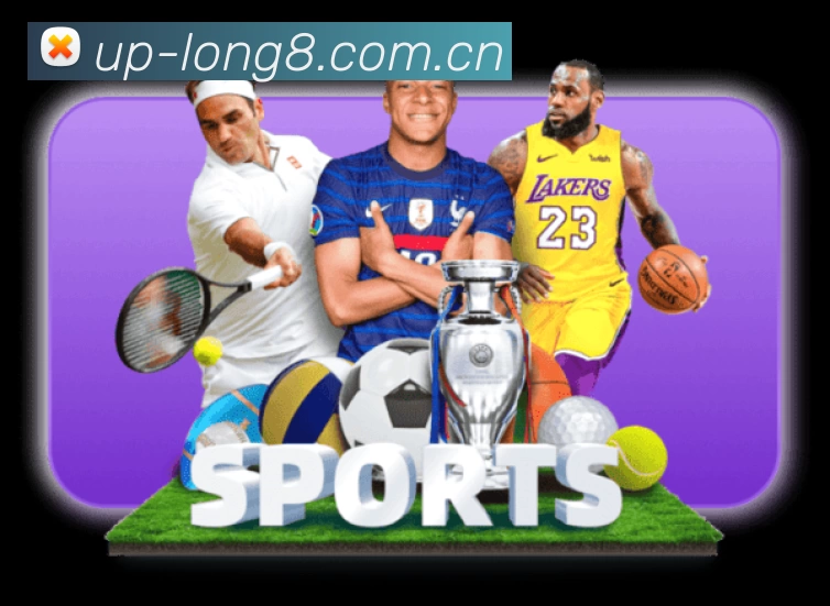 龙八体育 Sports 官方视觉图